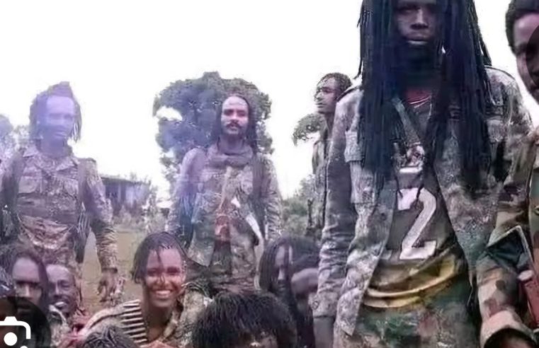 Self-styled jihadists ban cigarettes, seize Sokoto,Kebbi mosques