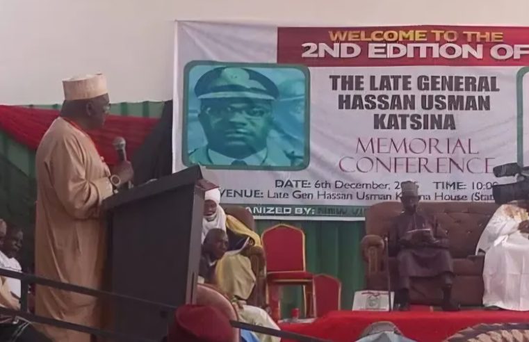 NEDVI’s Thumb-up for Hassan Ciroman Katsina